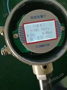 玉米油流量计
