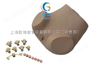 高级妇科检查模型