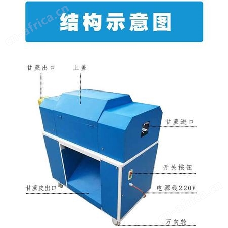 腾拓机械 全自动甘蔗去皮机 电动甘蔗削皮机器 甘蔗自动扒皮机