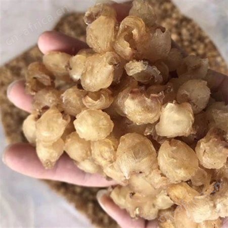 大颗粒空心桂圆肉 肉粒甘甜饱满 裕华罐装龙眼肉干货