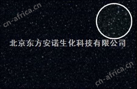 活性炭滤网