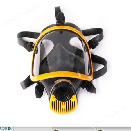 普达PD-4002防毒面具 防喷漆有机气体蒸汽 面罩