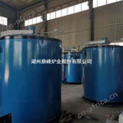 井式真空氮化炉