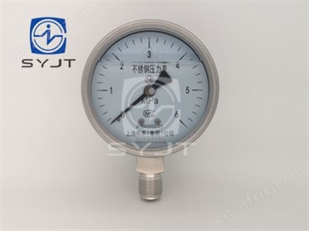 YN系列 不锈钢耐震压力表
