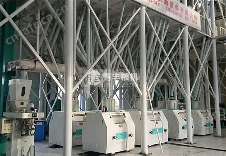 100吨级面粉机械设备