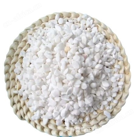 白色石子用于园林铺面 建筑铺路 鱼缸造景白 色卵石厂家现货批发
