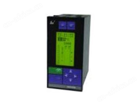 SWP-LCD-NLQ热量积算无纸记录仪