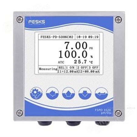 FSPD 5520FSPD 5520双通道pH/溶解氧分析仪