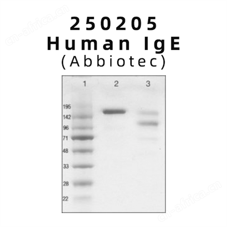 进口Abbiotec多少钱