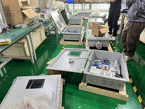 防爆型二合一气体在线监测系统 防爆型二合一气体在线监测系统