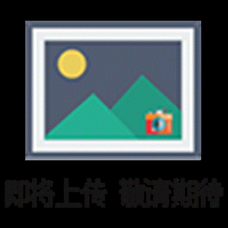 英思科Ventis MX4普通锂电池（黑色）17134453-01