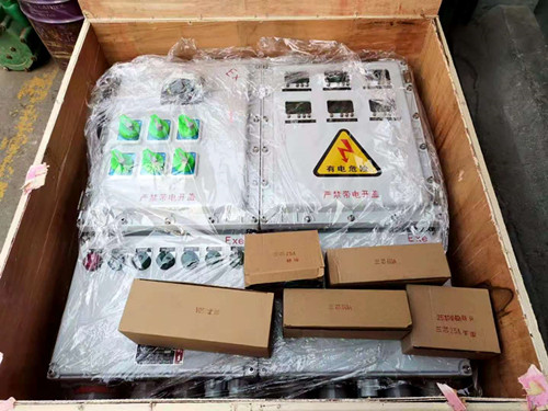 西安飞越防爆温控仪箱 1000*800*250