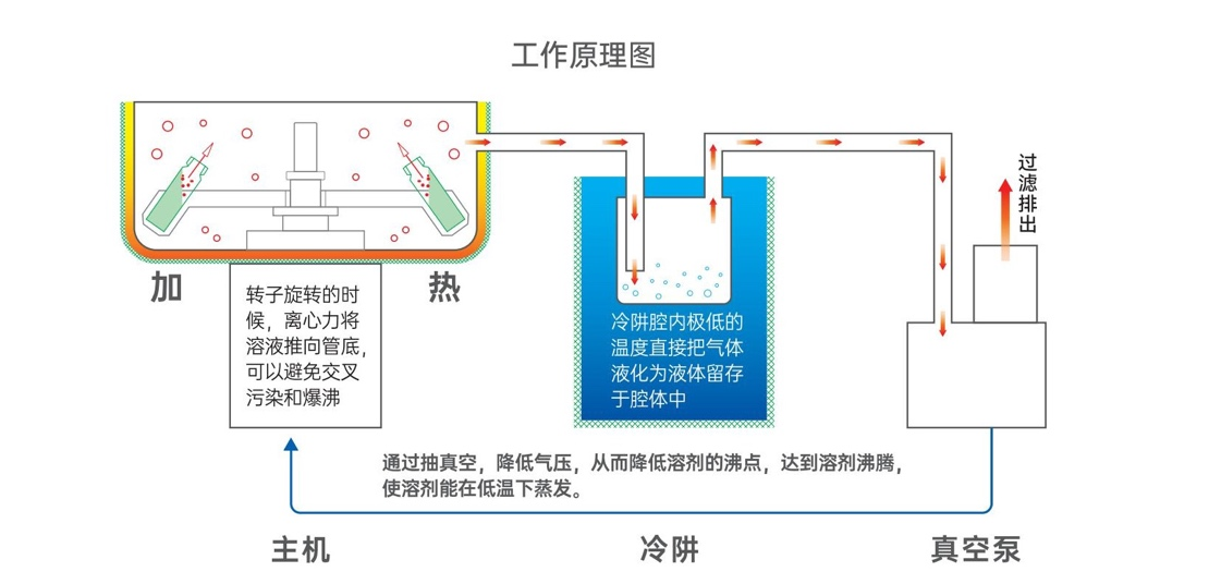 不同的干燥处理方法对溶解有机物(DOM)质量损失的影响